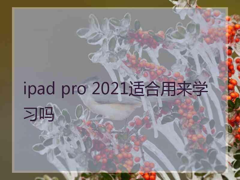 ipad pro 2021适合用来学习吗