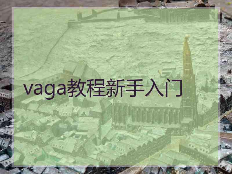 vaga教程新手入门