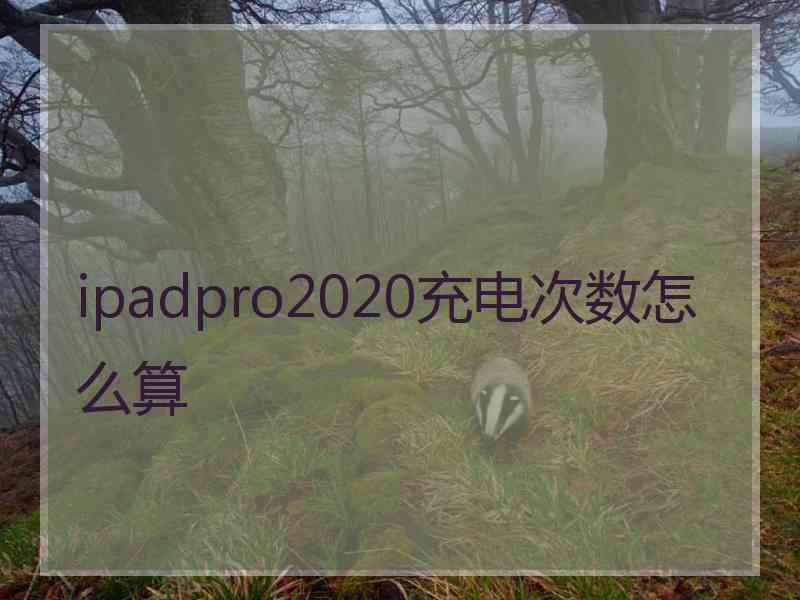 ipadpro2020充电次数怎么算