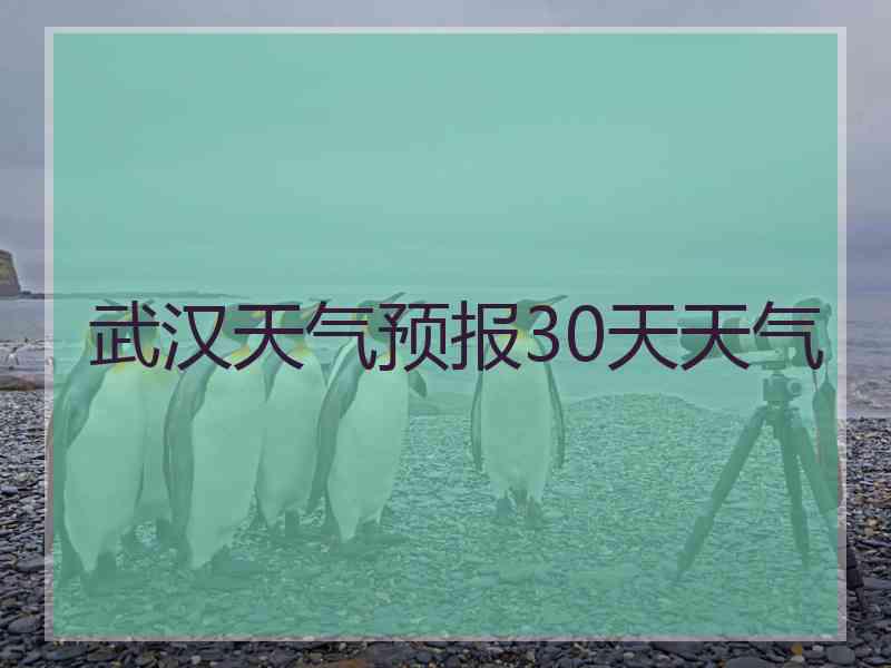 武汉天气预报30天天气