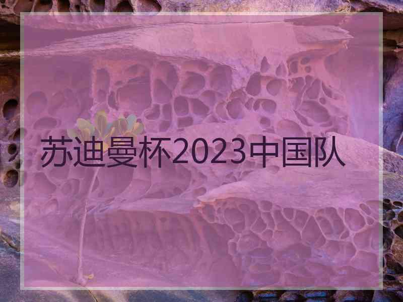 苏迪曼杯2023中国队