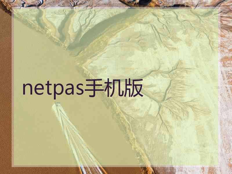 netpas手机版