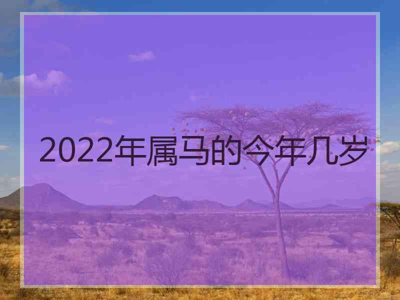 2022年属马的今年几岁