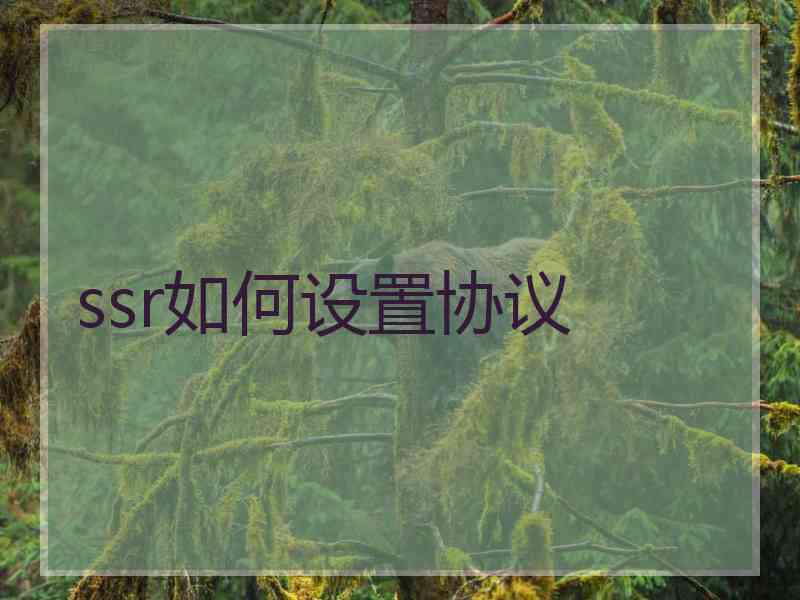 ssr如何设置协议