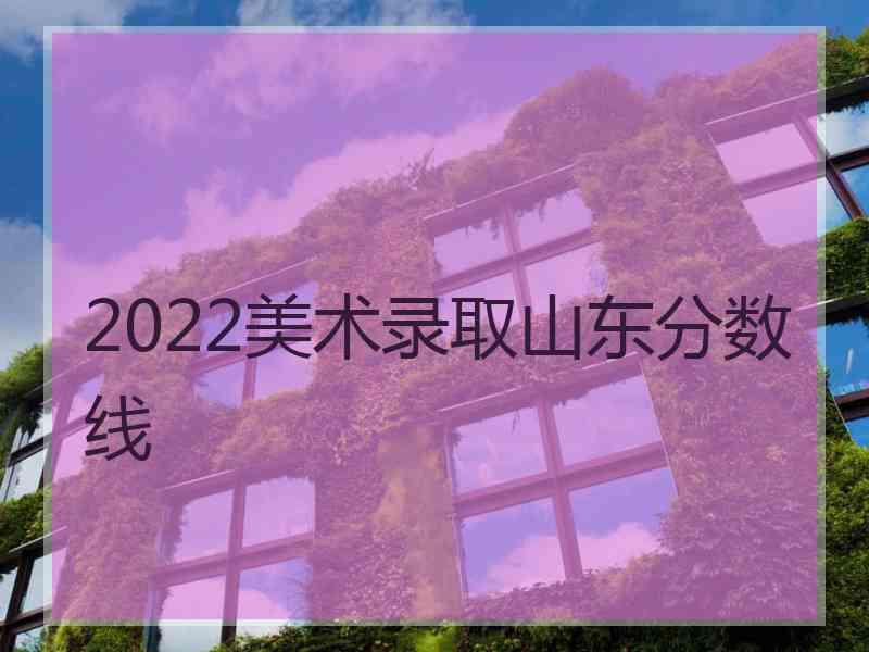 2022美术录取山东分数线