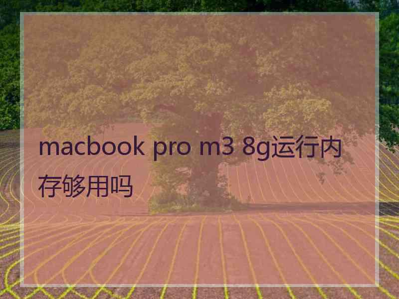 macbook pro m3 8g运行内存够用吗