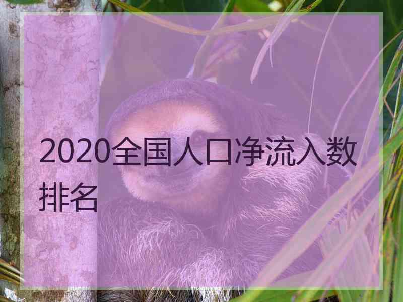 2020全国人口净流入数排名