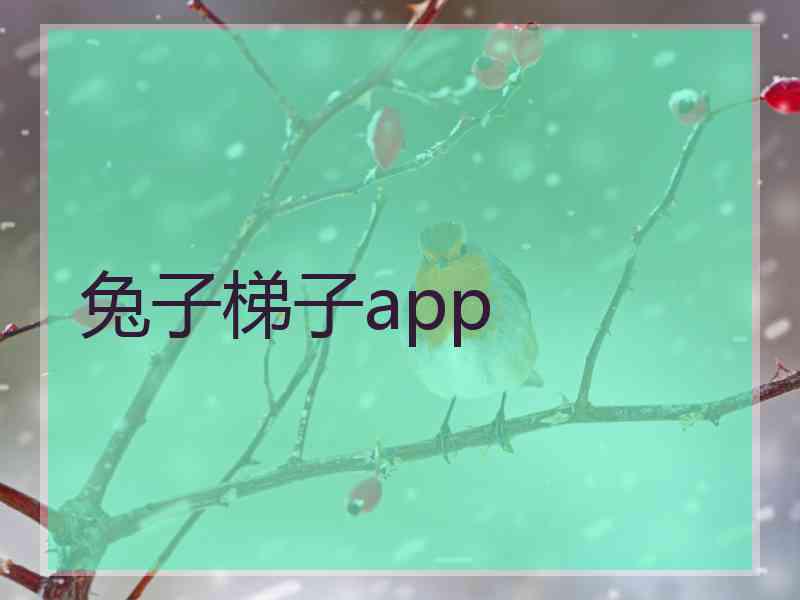 兔子梯子app