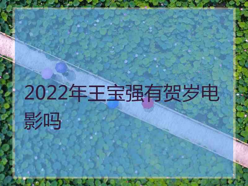 2022年王宝强有贺岁电影吗