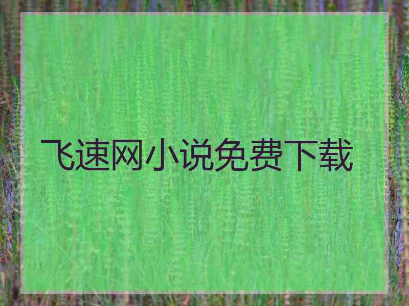 飞速网小说免费下载