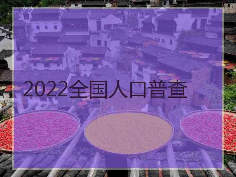 2022全国人口普查