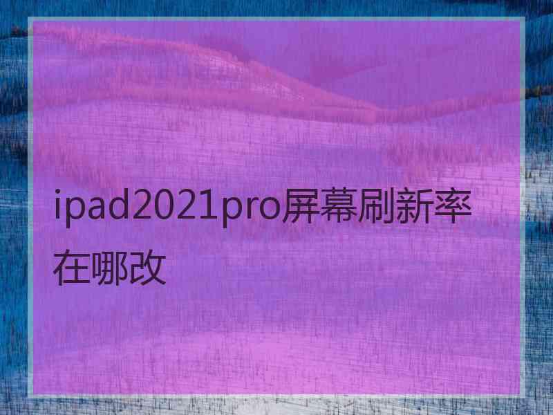 ipad2021pro屏幕刷新率在哪改