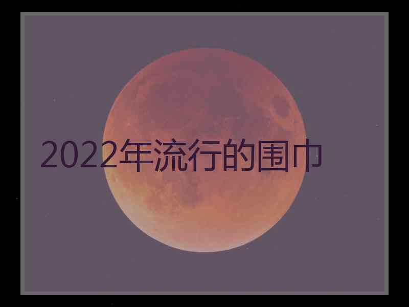 2022年流行的围巾