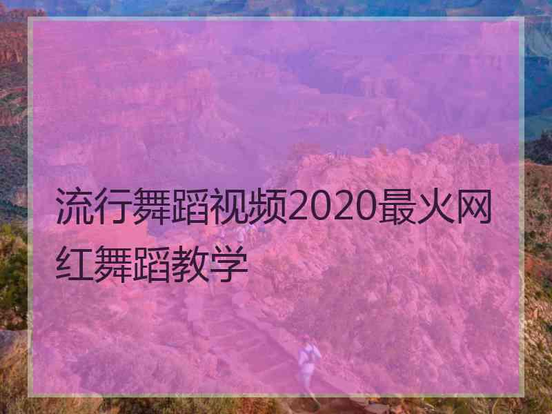 流行舞蹈视频2020最火网红舞蹈教学