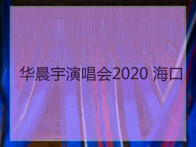 华晨宇演唱会2020 海口