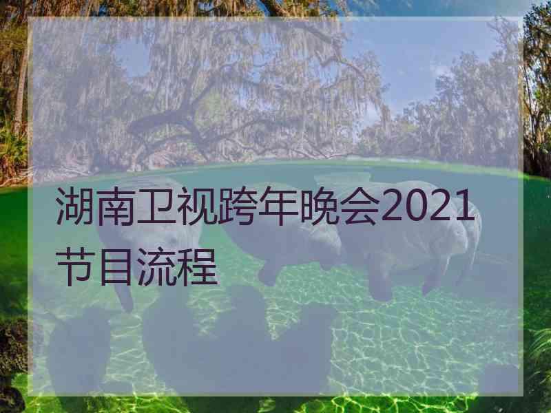 湖南卫视跨年晚会2021节目流程