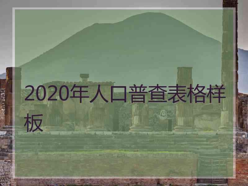 2020年人口普查表格样板