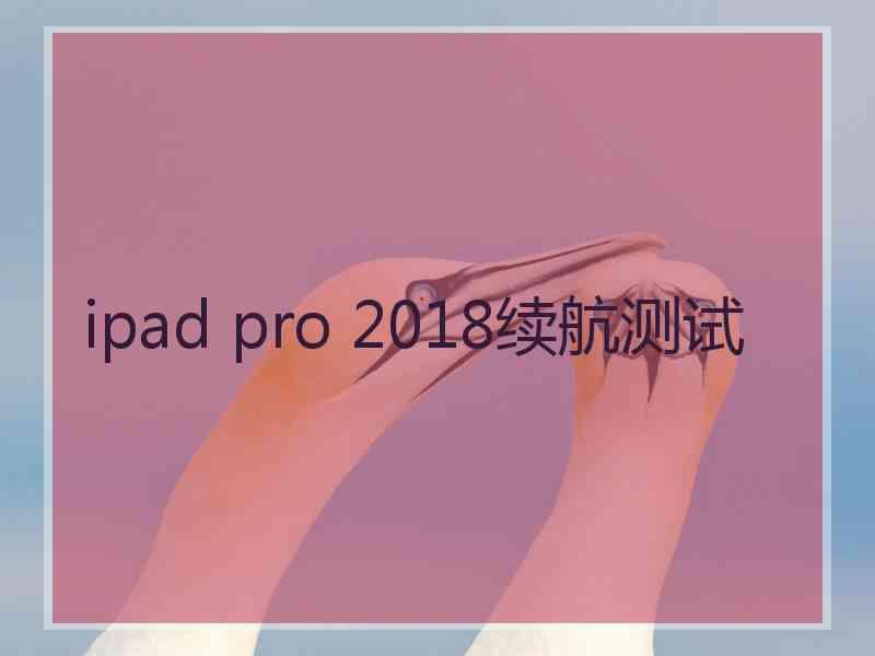 ipad pro 2018续航测试