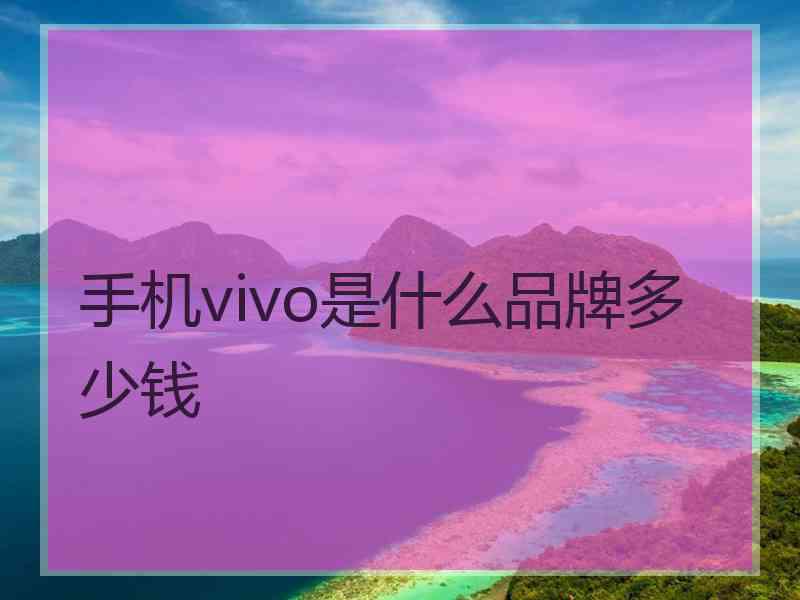 手机vivo是什么品牌多少钱