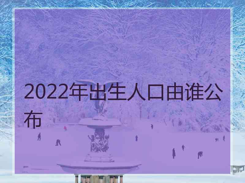 2022年出生人口由谁公布