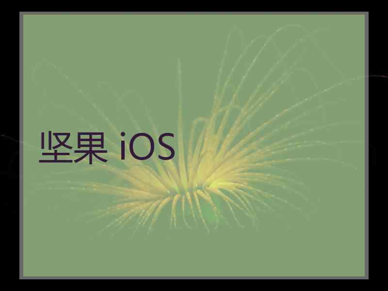 坚果 iOS