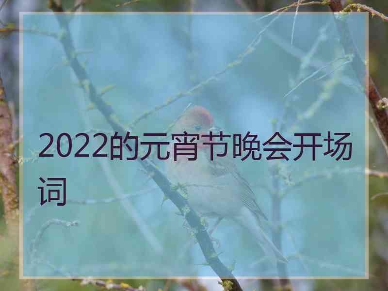 2022的元宵节晚会开场词