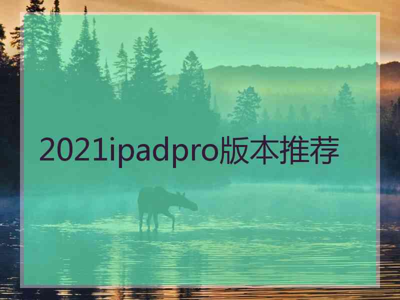 2021ipadpro版本推荐