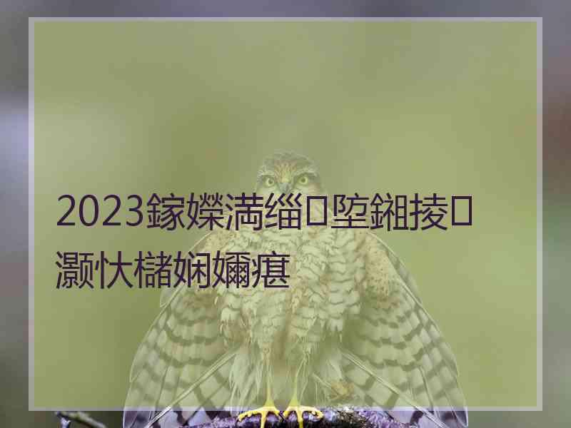 2023鎵嬫満缁埅鎺掕灏忕櫧娴嬭瘎