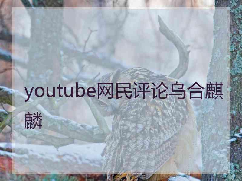 youtube网民评论乌合麒麟