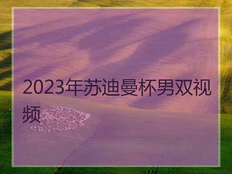 2023年苏迪曼杯男双视频