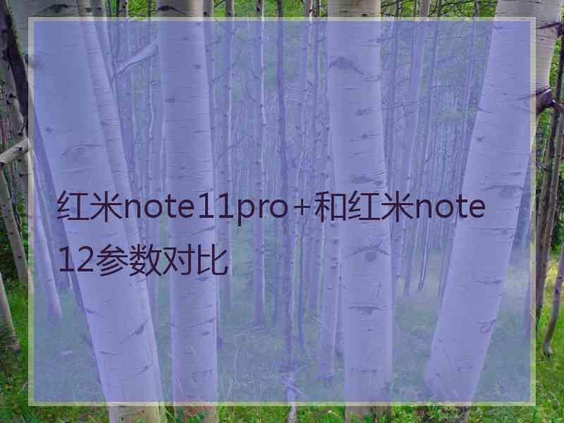 红米note11pro+和红米note12参数对比