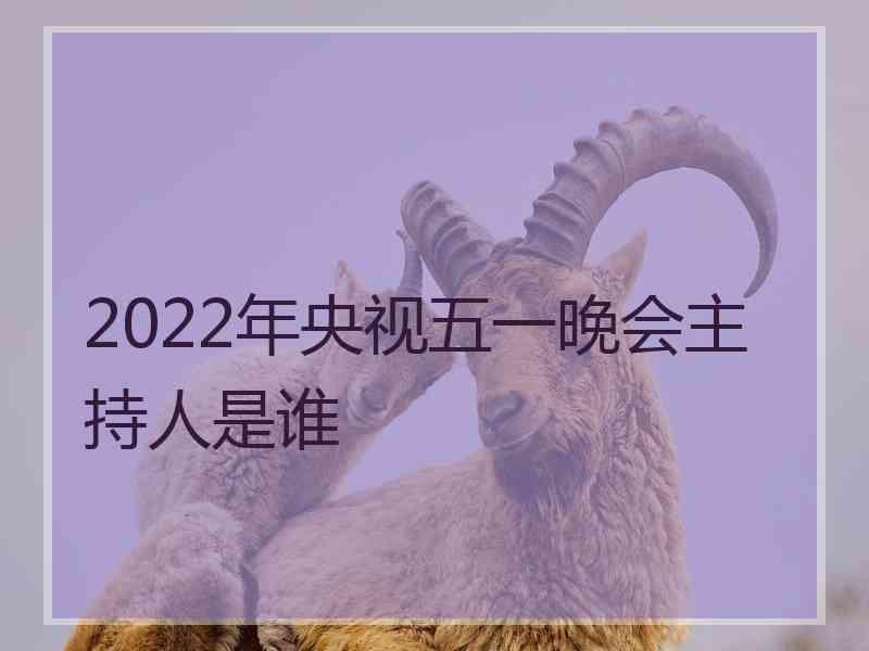 2022年央视五一晚会主持人是谁