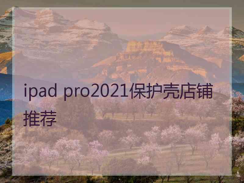 ipad pro2021保护壳店铺推荐