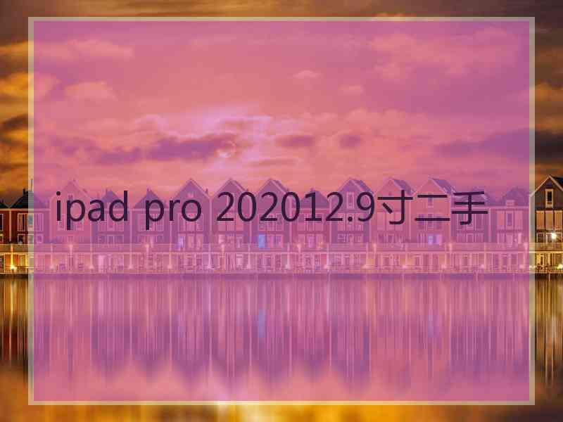 ipad pro 202012.9寸二手