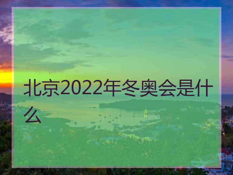 北京2022年冬奥会是什么