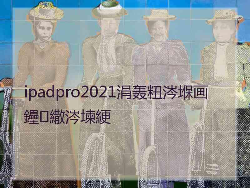 ipadpro2021涓轰粈涔堢画鑸繖涔堜綆