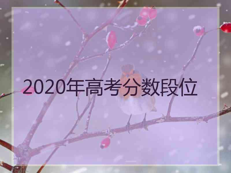 2020年高考分数段位