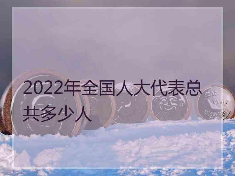 2022年全国人大代表总共多少人