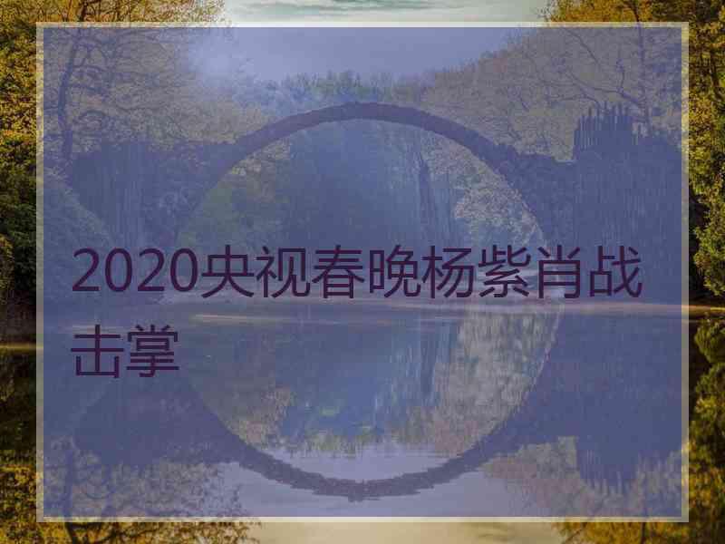 2020央视春晚杨紫肖战击掌