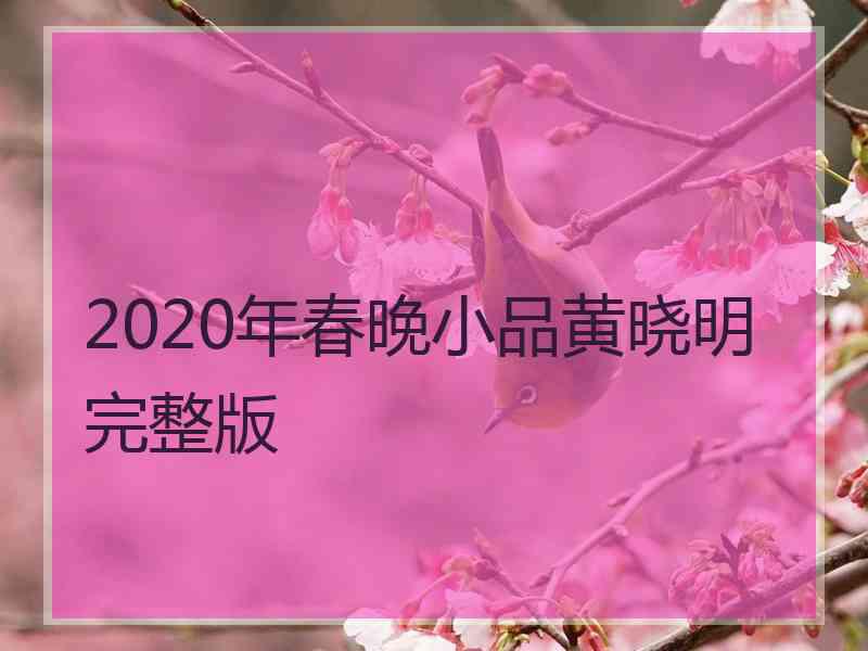 2020年春晚小品黄晓明完整版