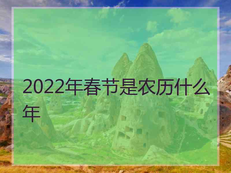 2022年春节是农历什么年