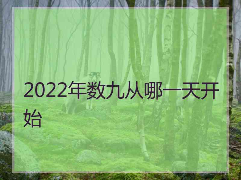 2022年数九从哪一天开始