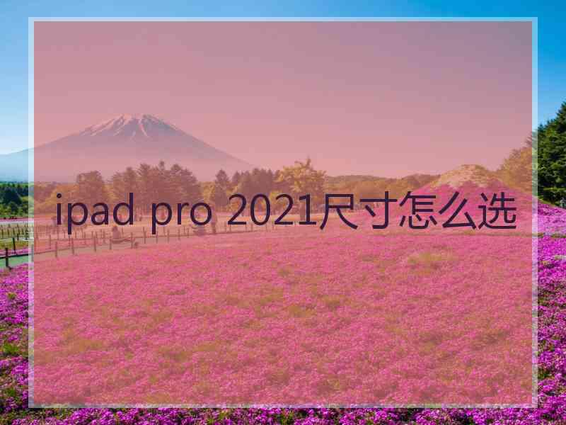 ipad pro 2021尺寸怎么选