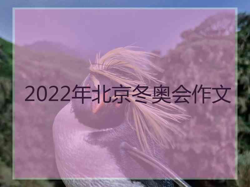 2022年北京冬奥会作文