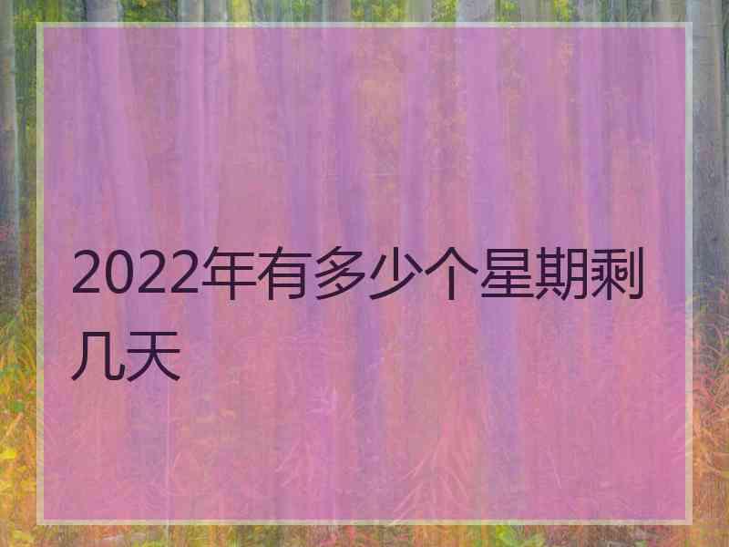 2022年有多少个星期剩几天