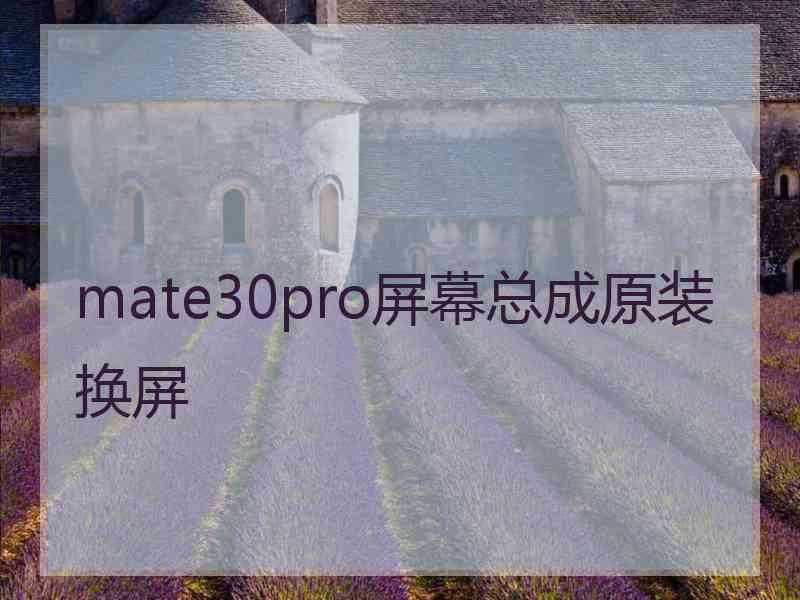 mate30pro屏幕总成原装换屏