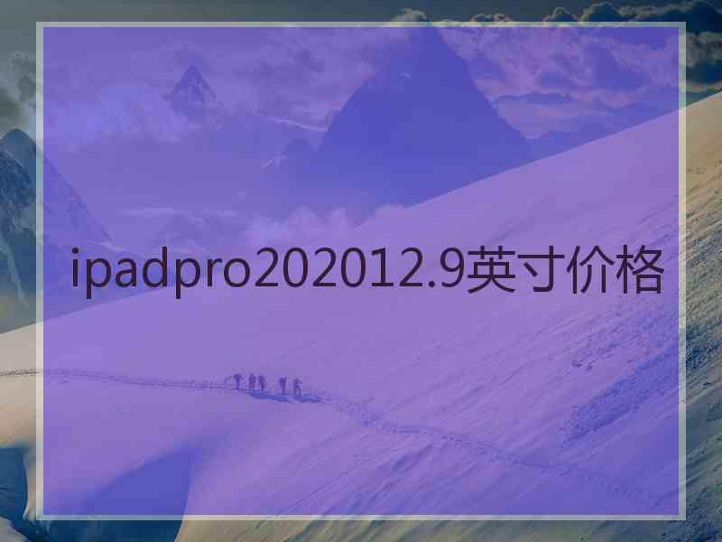 ipadpro202012.9英寸价格