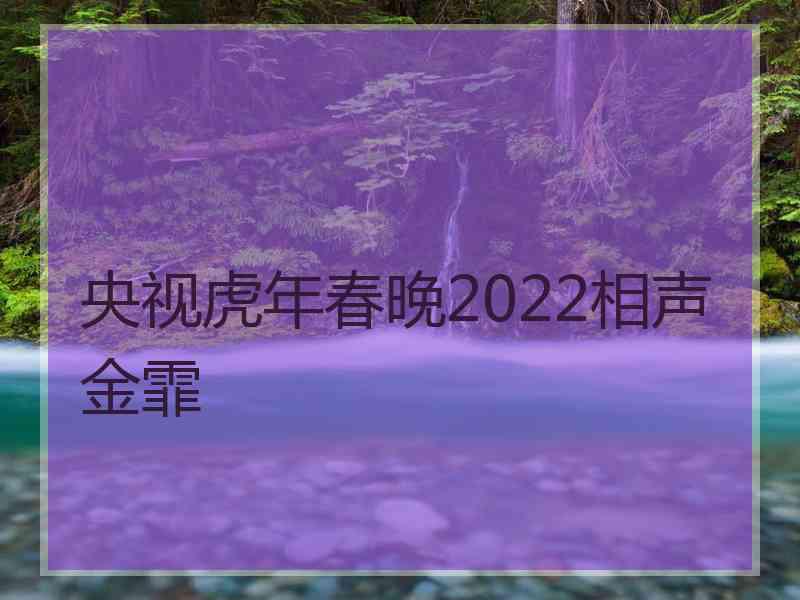 央视虎年春晚2022相声金霏