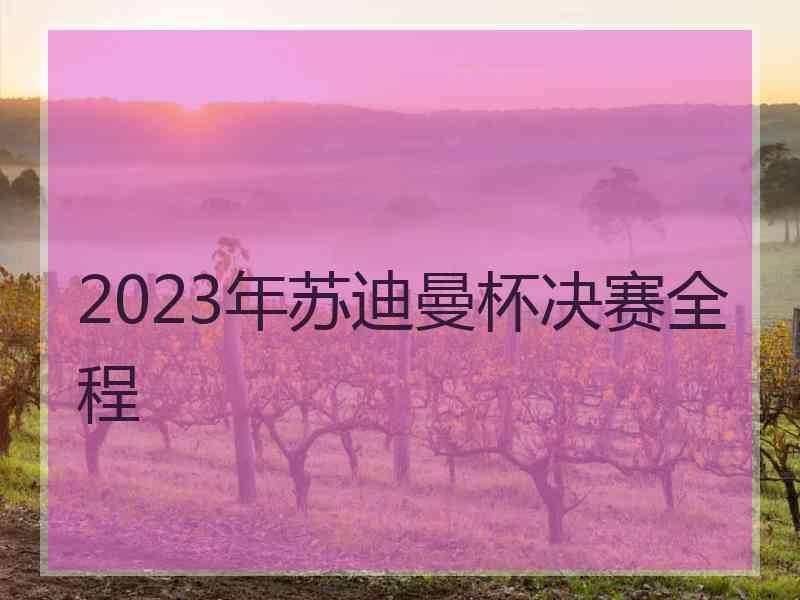 2023年苏迪曼杯决赛全程