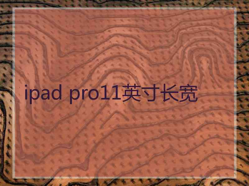 ipad pro11英寸长宽